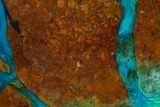 Polished Chrysocolla & Plume Malachite - Bagdad Mine, Arizona #136087-1